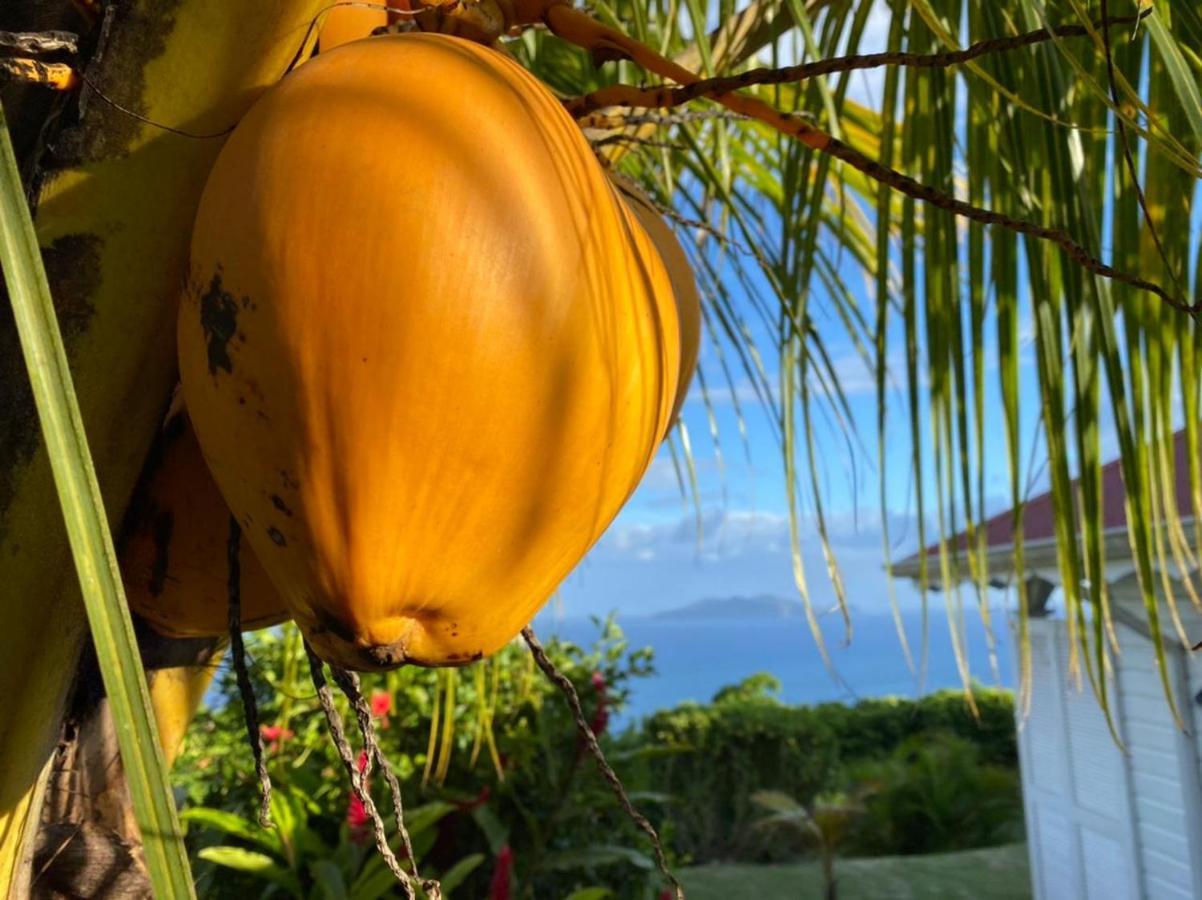 Villa Cajou Chambres D'Hotes Chez L'Habitant Et Zanzibar Cottage Trois-Rivières Екстериор снимка